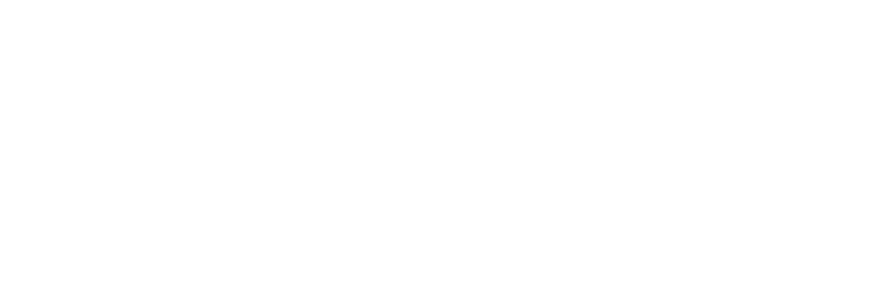 Dizzilandinc_logo_color_FNL