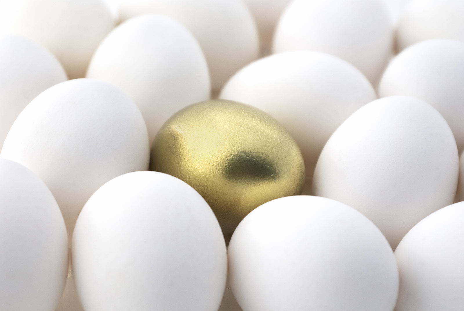 eggs-background